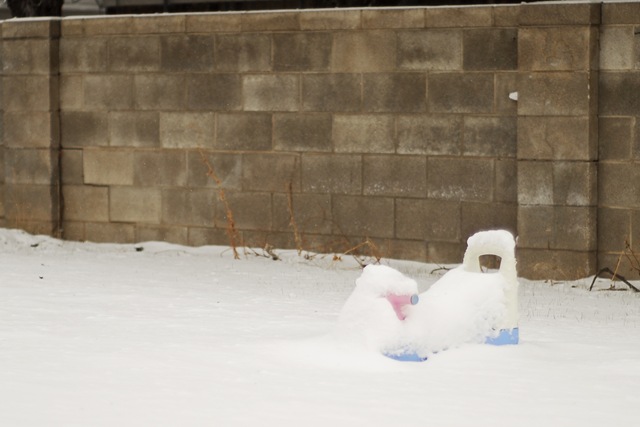 [snowplaycar[5].jpg]