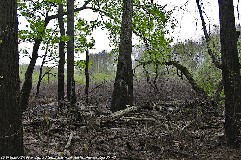 Кордон «Липовая Гора» 