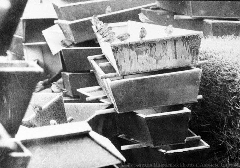 В память о трагедии в Спитаке 7 декабря 1988 г. 