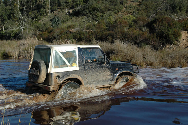 DSC_5537.JPG