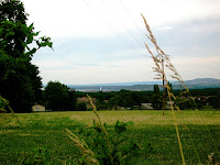 IMG_0890.JPG Photo