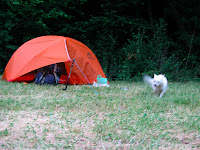 IMG_0892.JPG Photo