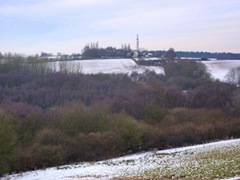 Looking back to Repton Shrubs