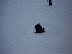 Playing in the Snow