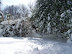 Snowpocalypse 2010