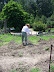 Jamestown Settlement in May