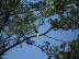 Jamestown Settlement in May