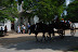 Colonial Williamburg in May