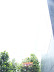 Arlington and the Airforce Memorial with the Reads