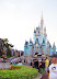 Magic Kingdom