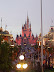 Magic Kingdom
