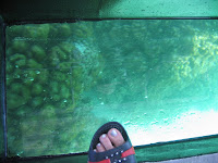 Holidaying at Malaysia 120.JPG