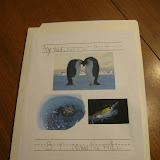 Antarctica lapbook -- cover