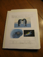 Antarctica lapbook -- cover