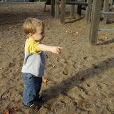 PA080001.JPG