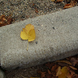 PA080011.JPG