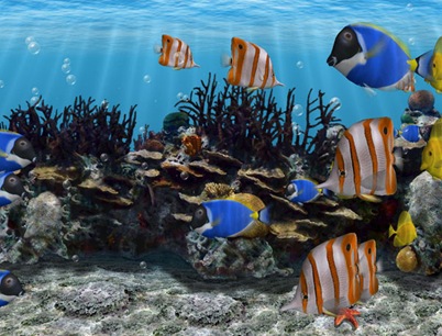 3D Fish School Screensaver 4.93