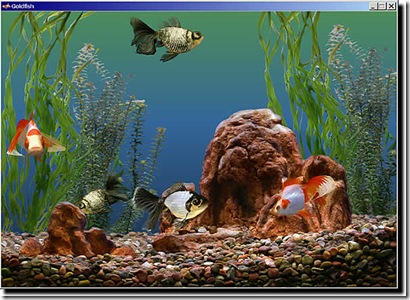 Goldfish Aquarium SCRENSAVER