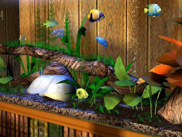 [3D Bungalow Aquarium Screensaver[3].jpg]