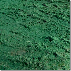 Como establecer áreas de césped.