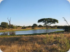 Botswana_nature Botswana_nature