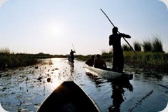 botswana travel botswana travel