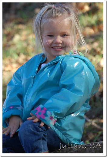 DSC_0390 DSC_0390