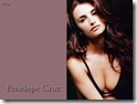 Penelope   Cruz 1024x768 holllywoodhothotwallpapers (2)