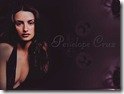 Penelope   Cruz 1024x768 holllywoodhothotwallpapers (3)