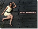 aarti Chabria bollywood celebrity (18)