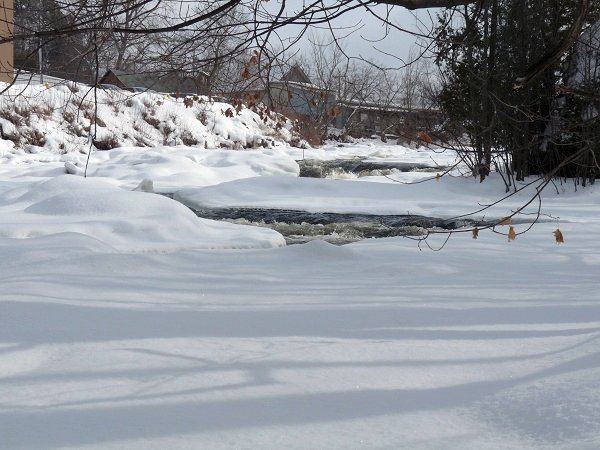 grasse river in winter