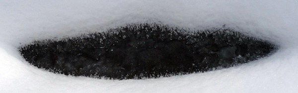 icy smile