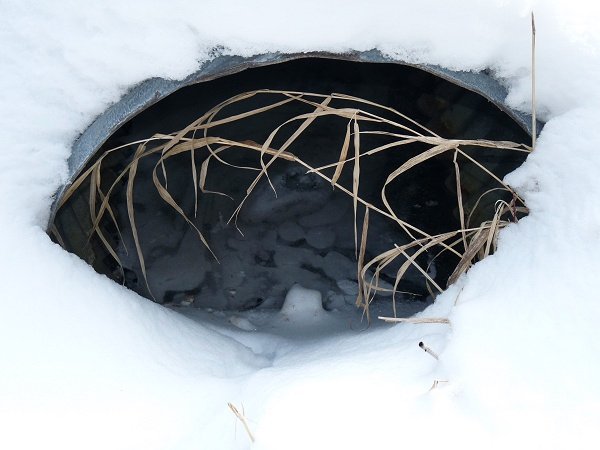 culvert eye