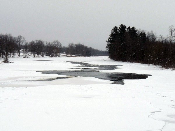grasse river in winter