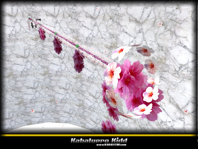 pic_kab_rodofcherryblossoms_002.jpg