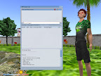 Phoenix Viewer's Message Log Window