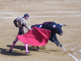 A bull fight in Spain.