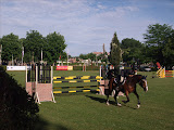 Horse show during the festivals of Burgos.