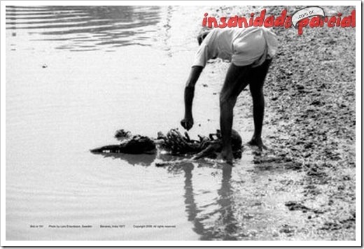 InsanidadeParcial-10_01_11-026