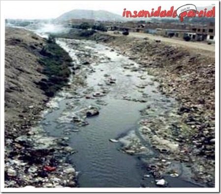 InsanidadeParcial-10_01_11-007