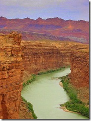 124-2448b_IMG 391x522 124-2448b_IMG 391x522