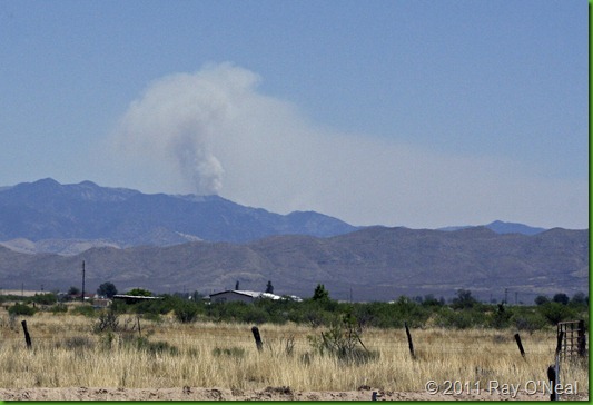 7710 - Wildfire in Chiricahua Mtns