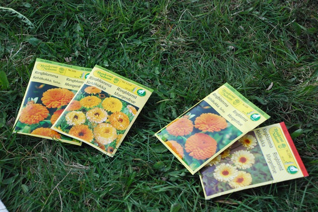 [090413 007[4].jpg]