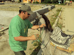 Quieto caballo quieto
