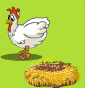 happy_farm_chicken.png
