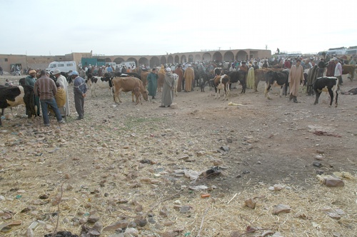 Mercado de animales