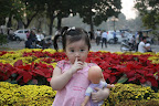 Vườn hoa Lý Thái Tổ