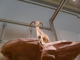 SDC14875.JPG