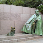 SDC14735.JPG