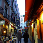 P1010525.jpg